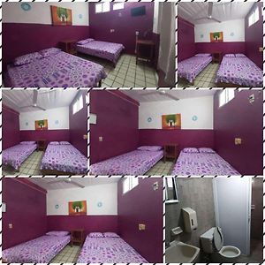Habitación Cuádruple